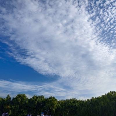 升龙界手游最新版下载