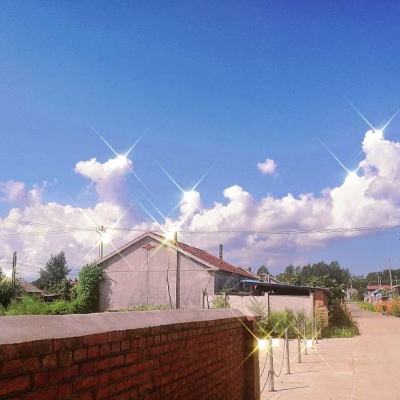 滚滚大作战游戏下载