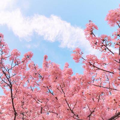 沉没世纪官方版(暂未上线)v1.0.0 安卓最新版